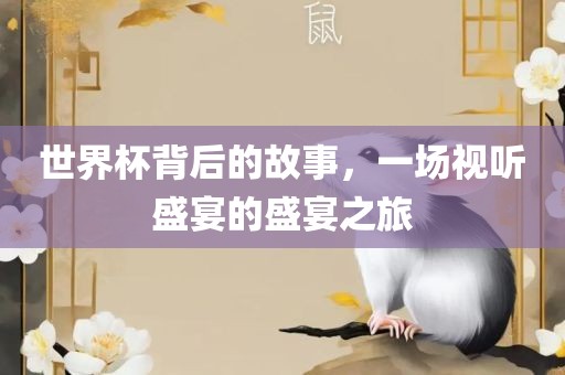 世界杯背后的故事，一场视听盛宴的盛宴之旅