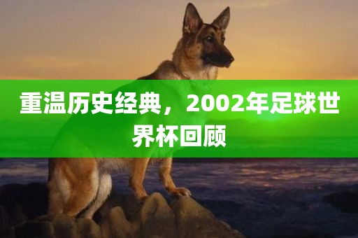 重温历史经典，2002年足球世界杯回顾