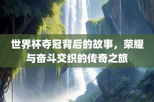 世界杯夺冠背后的故事，荣耀与奋斗交织的传奇之旅