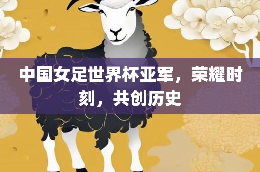 中国女足世界杯亚军，荣耀时刻，共创历史