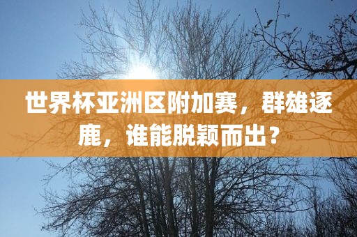 世界杯亚洲区附加赛，群雄逐鹿，谁能脱颖而出？