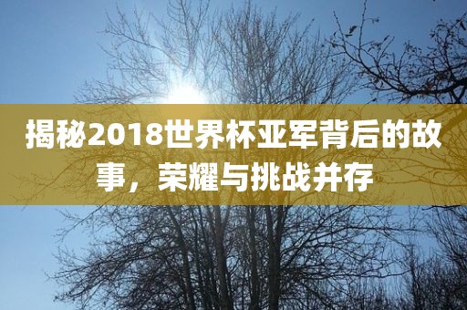 揭秘2018世界杯亚军背后的故事，荣耀与挑战并存
