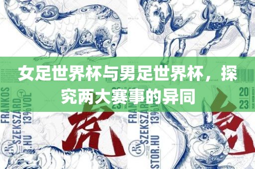 女足世界杯与男足世界杯，探究两大赛事的异同