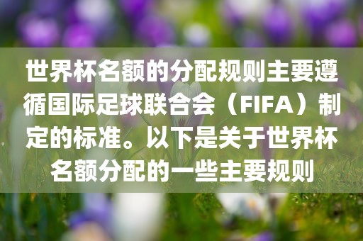 世界杯名额的分配规则主要遵循国际足球联合会（FIFA）制定的标准。以下是关于世界杯名额分配的一些主要规则