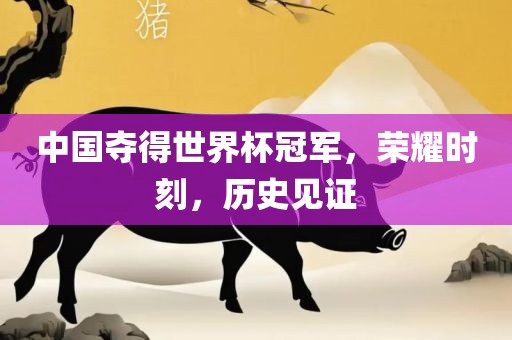 中国夺得世界杯冠军，荣耀时刻，历史见证