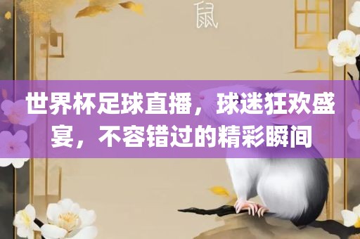 世界杯足球直播，球迷狂欢盛宴，不容错过的精彩瞬间