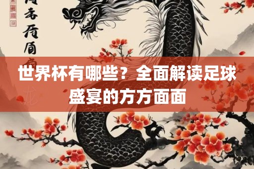 世界杯有哪些？全面解读足球盛宴的方方面面