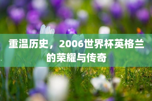 重温历史，2006世界杯英格兰的荣耀与传奇