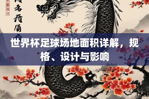 世界杯足球场地面积详解，规格、设计与影响