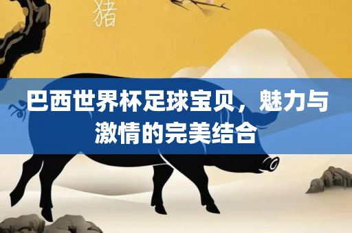巴西世界杯足球宝贝，魅力与激情的完美结合
