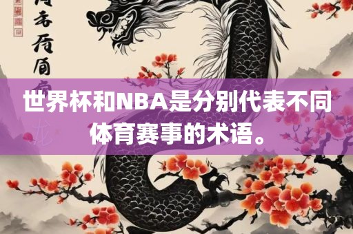世界杯和NBA是分别代表不同体育赛事的术语。