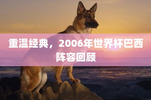 重温经典，2006年世界杯巴西阵容回顾