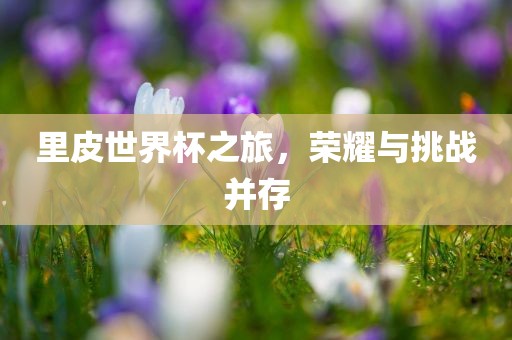里皮世界杯之旅，荣耀与挑战并存