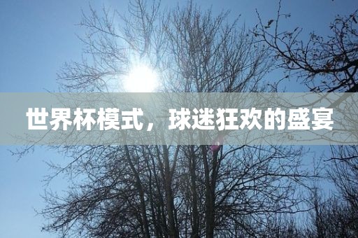 世界杯模式，球迷狂欢的盛宴