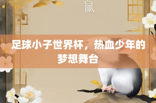 足球小子世界杯，热血少年的梦想舞台