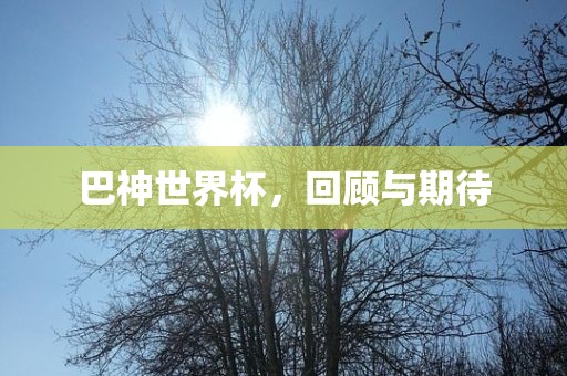 巴神世界杯，回顾与期待