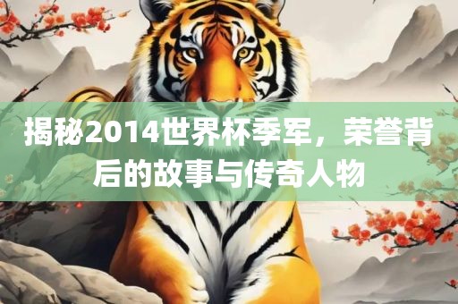 揭秘2014世界杯季军，荣誉背后的故事与传奇人物