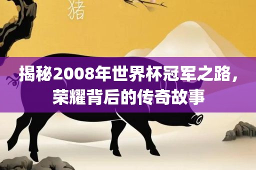 揭秘2008年世界杯冠军之路，荣耀背后的传奇故事