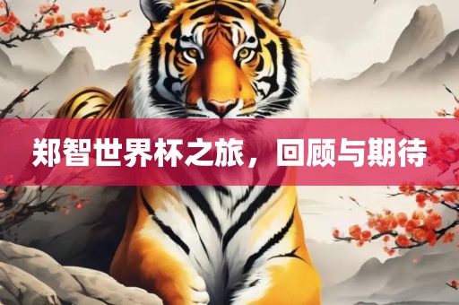 郑智世界杯之旅，回顾与期待