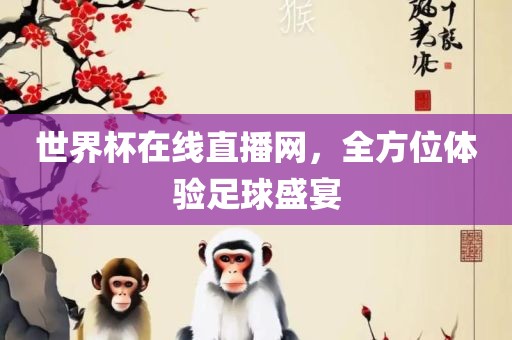 世界杯在线直播网，全方位体验足球盛宴