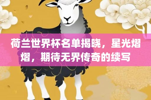 荷兰世界杯名单揭晓，星光熠熠，期待无界传奇的续写