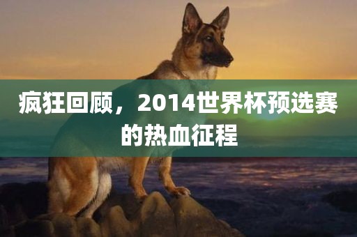 疯狂回顾，2014世界杯预选赛的热血征程