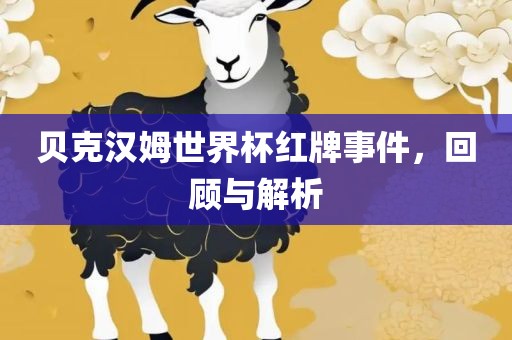 贝克汉姆世界杯红牌事件，回顾与解析