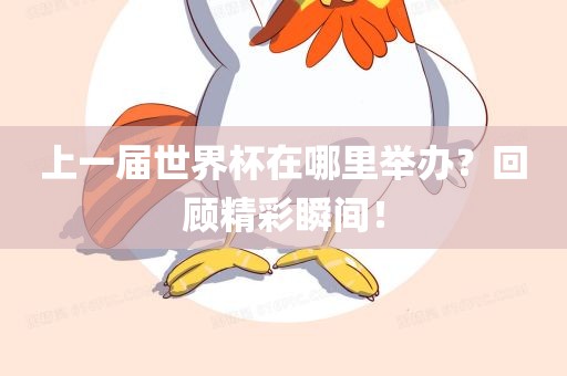 上一届世界杯在哪里举办？回顾精彩瞬间！
