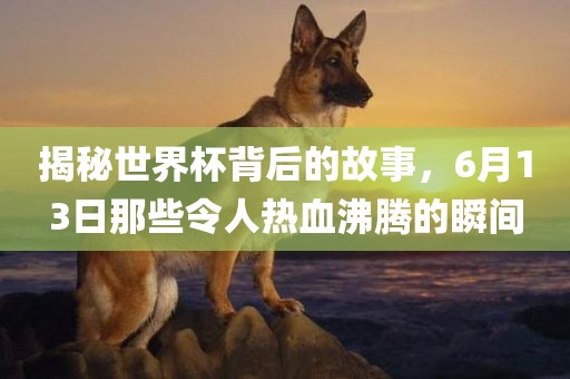 揭秘世界杯背后的故事，6月13日那些令人热血沸腾的瞬间