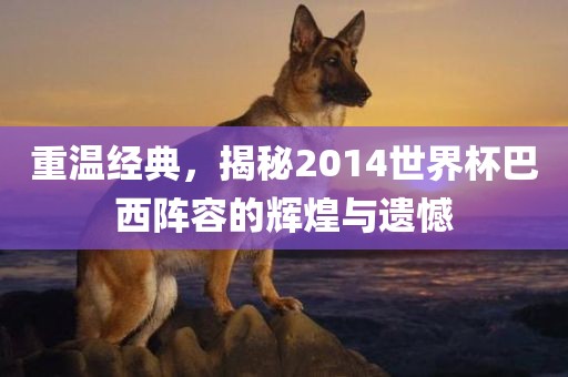 重温经典，揭秘2014世界杯巴西阵容的辉煌与遗憾