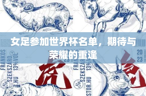 女足参加世界杯名单，期待与荣耀的重逢