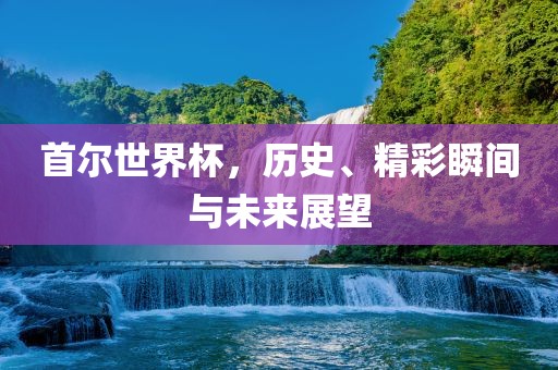 首尔世界杯，历史、精彩瞬间与未来展望