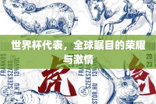 世界杯代表，全球瞩目的荣耀与激情