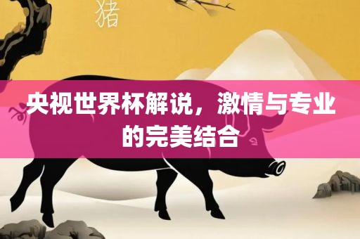 央视世界杯解说，激情与专业的完美结合