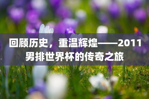 回顾历史，重温辉煌——2011男排世界杯的传奇之旅