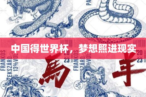 中国得世界杯，梦想照进现实