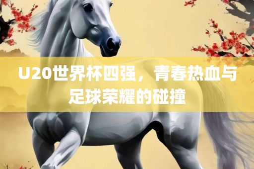 U20世界杯四强，青春热血与足球荣耀的碰撞