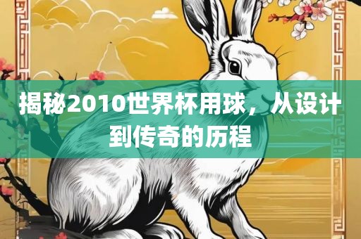 揭秘2010世界杯用球，从设计到传奇的历程