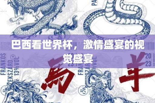 巴西看世界杯，激情盛宴的视觉盛宴