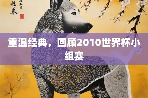 重温经典，回顾2010世界杯小组赛