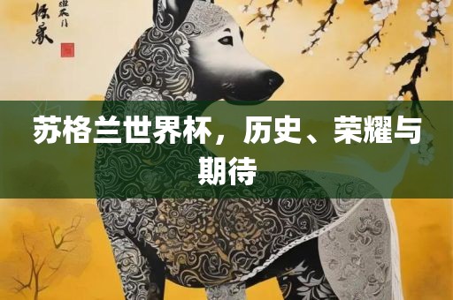苏格兰世界杯，历史、荣耀与期待