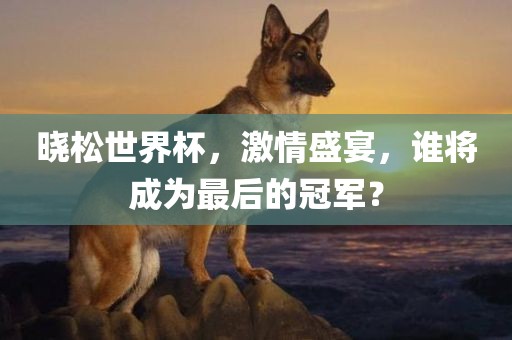 晓松世界杯，激情盛宴，谁将成为最后的冠军？