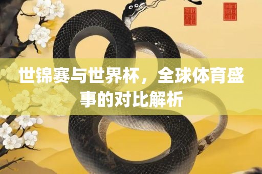 世锦赛与世界杯，全球体育盛事的对比解析