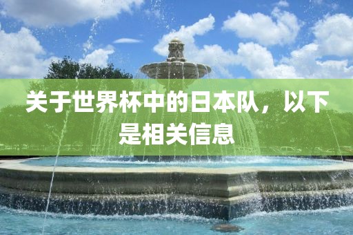 关于世界杯中的日本队，以下是相关信息