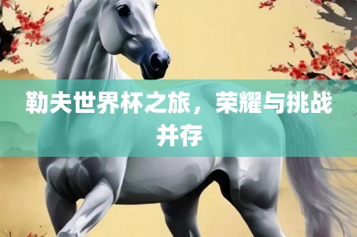 勒夫世界杯之旅，荣耀与挑战并存