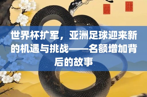 世界杯扩军，亚洲足球迎来新的机遇与挑战——名额增加背后的故事