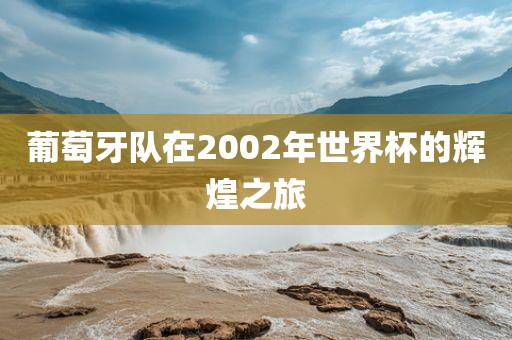 葡萄牙队在2002年世界杯的辉煌之旅