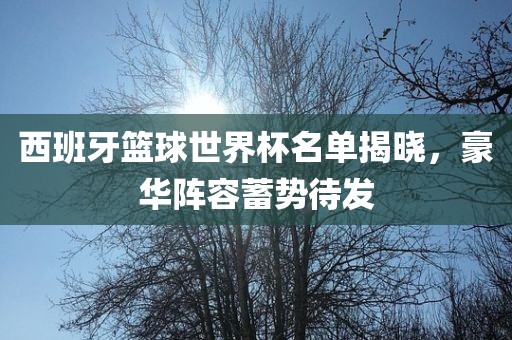 西班牙篮球世界杯名单揭晓，豪华阵容蓄势待发