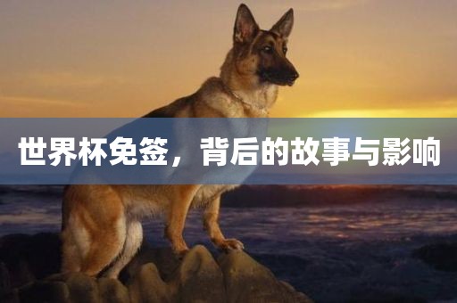 世界杯免签，背后的故事与影响