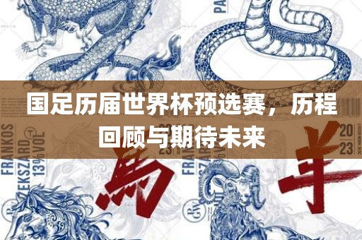 国足历届世界杯预选赛，历程回顾与期待未来